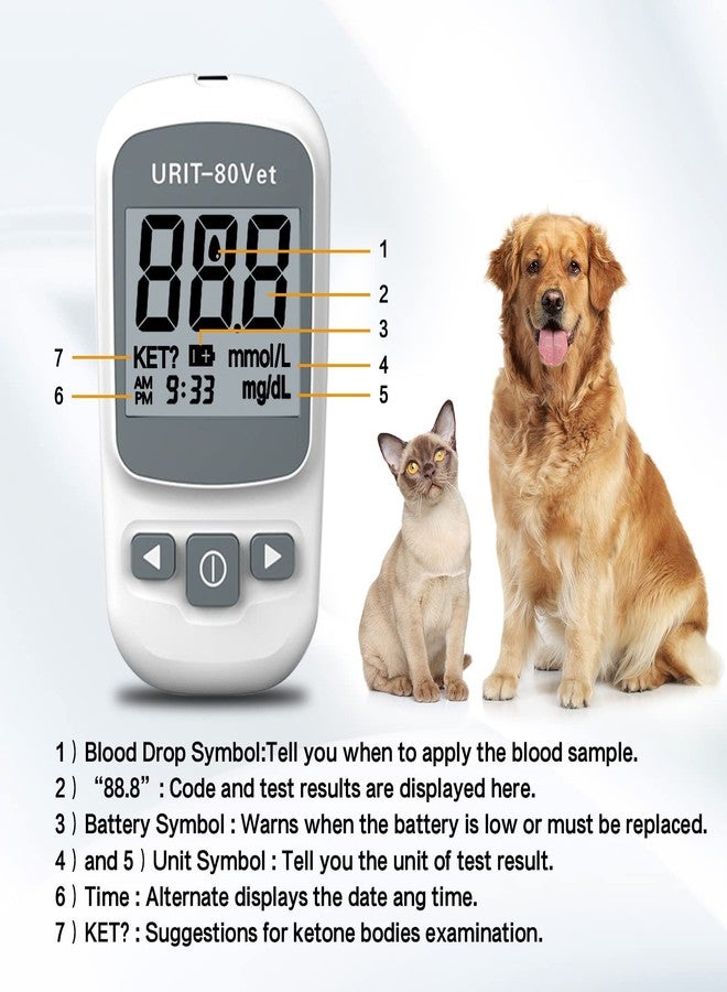 Urit Pet Glucose Meter with 50 Test Strips（URIT-80Vet） - Image 4